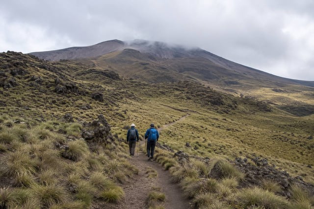 Hikers Trekking Across Mount Cameroon