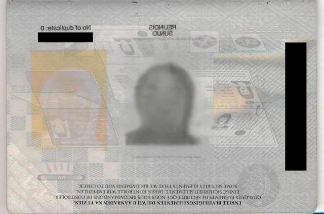 Valid Passport - Page 1
