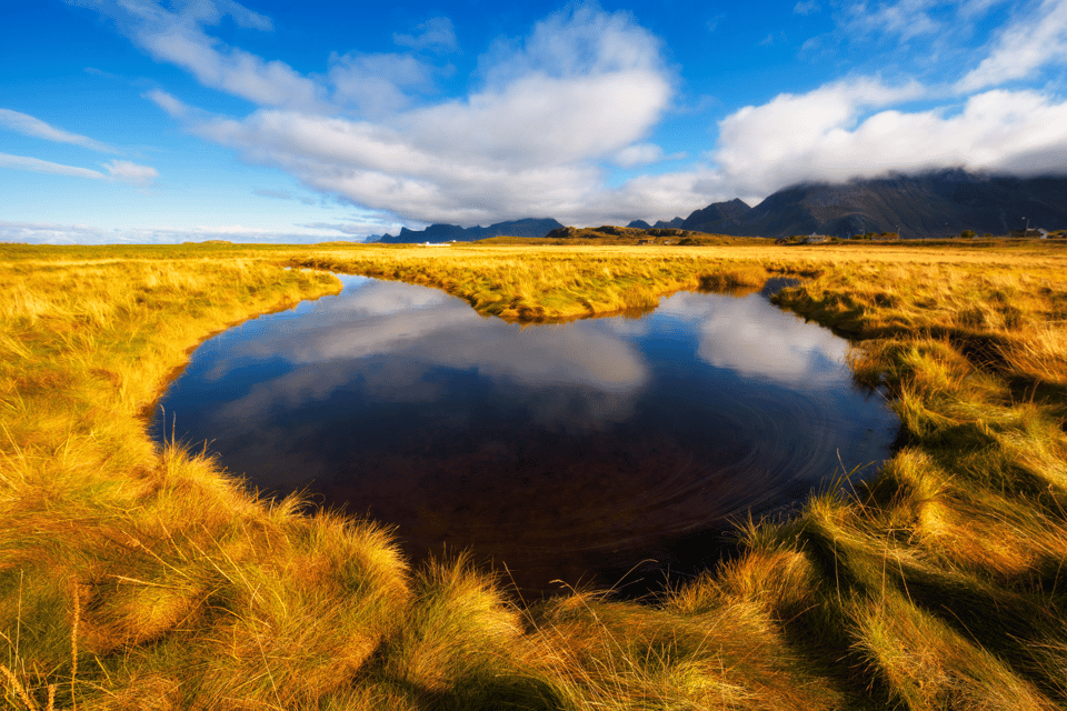 Waza National Park: A Wildlife Haven