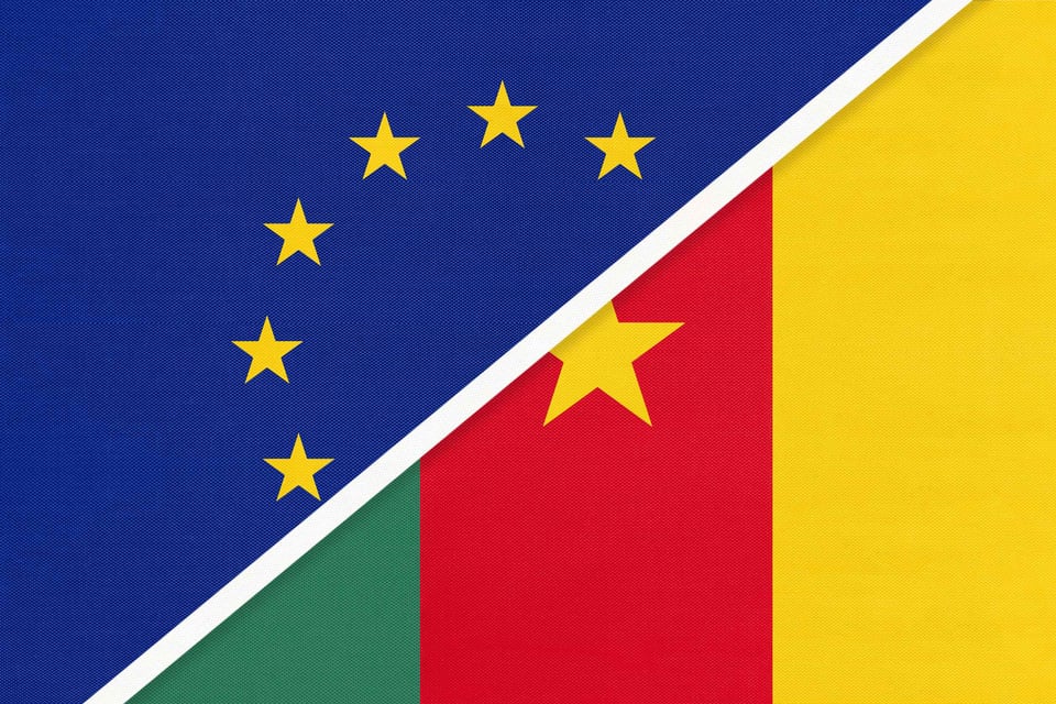 A Guide To The Cameroon Evisa For Eu