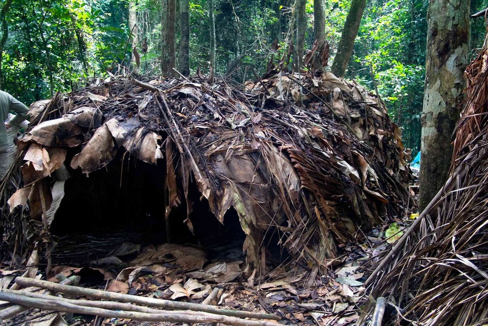 Baka pygmy village in Dja National Park, Cameroon