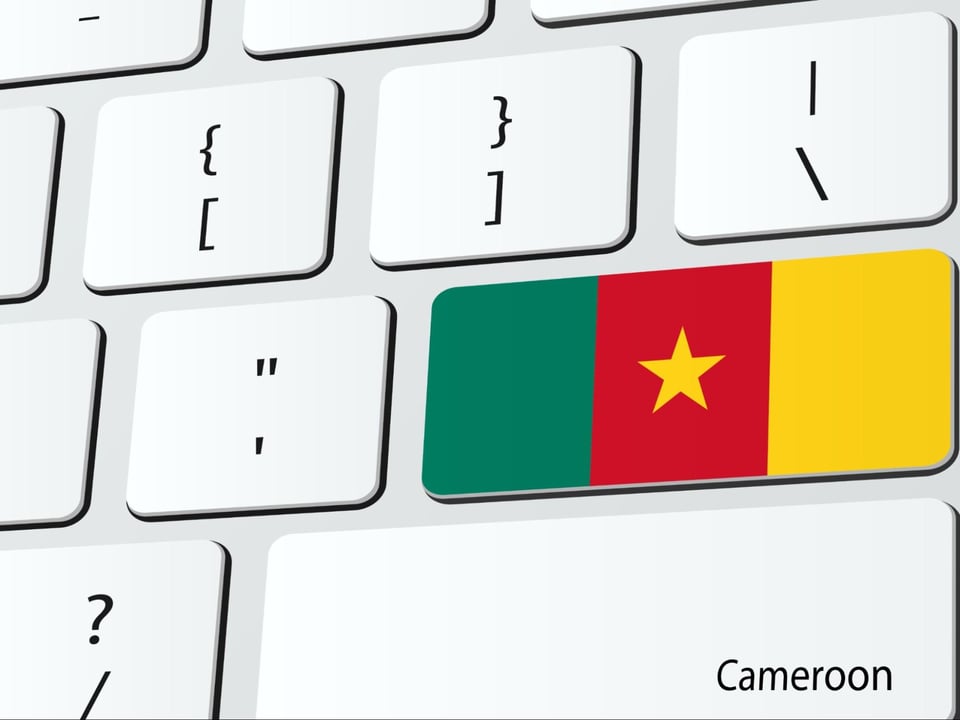 Cameroonian flag