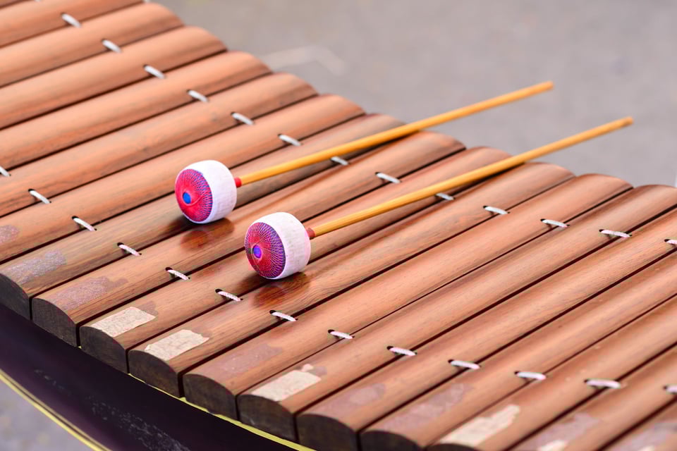 Exploring The Balafon Cameroon Signature Xylophone