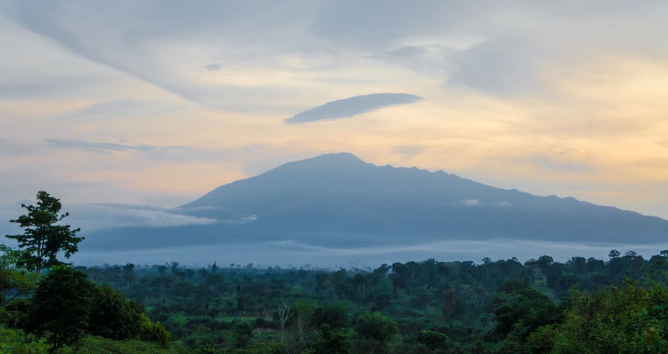 Scenic View Of Mount Cameroon Mountain With Green