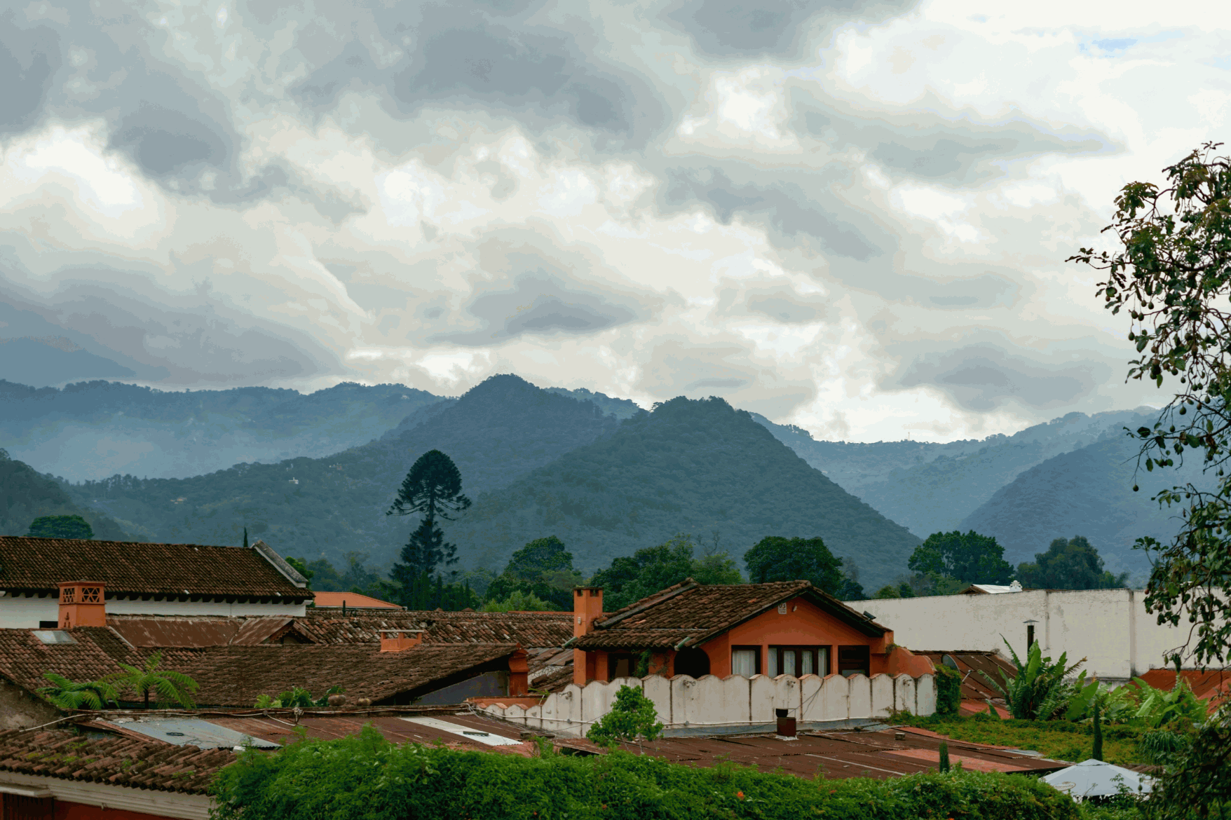 Limbe: City by the Sea