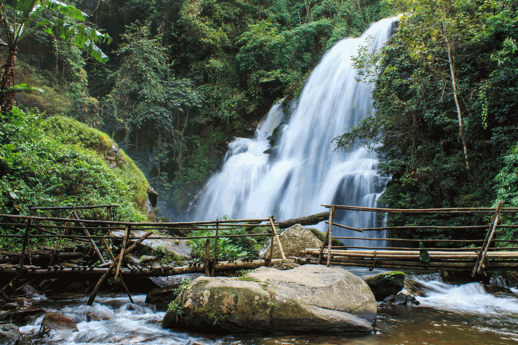 The Dja Faunal Reserve