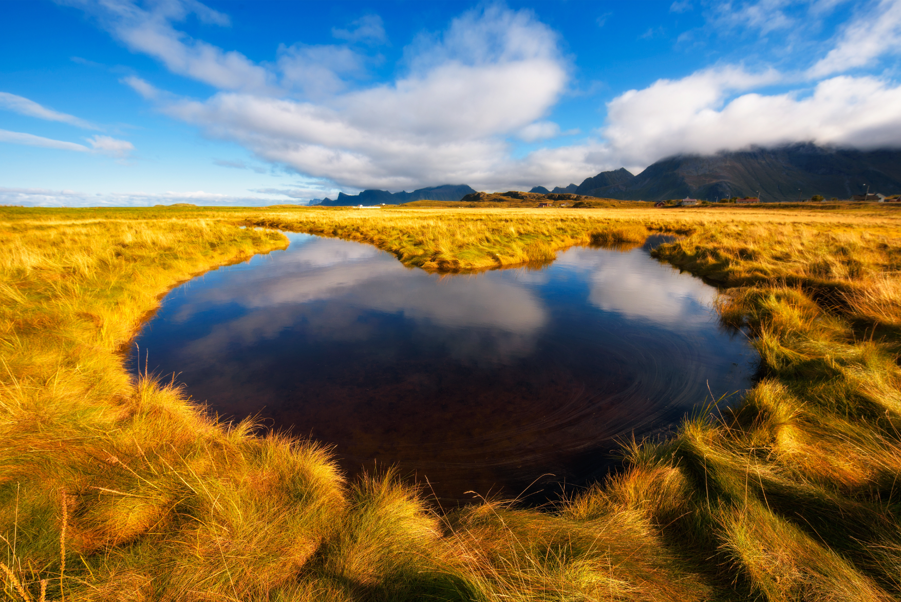 Waza National Park: A Wildlife Haven