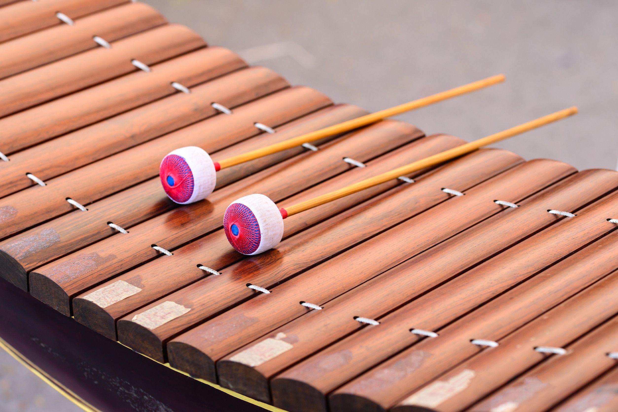 Exploring The Balafon Cameroon Signature Xylophone