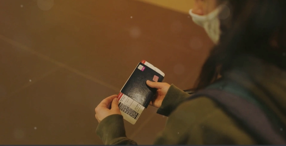 How to Apply for Cameroon e-Visa