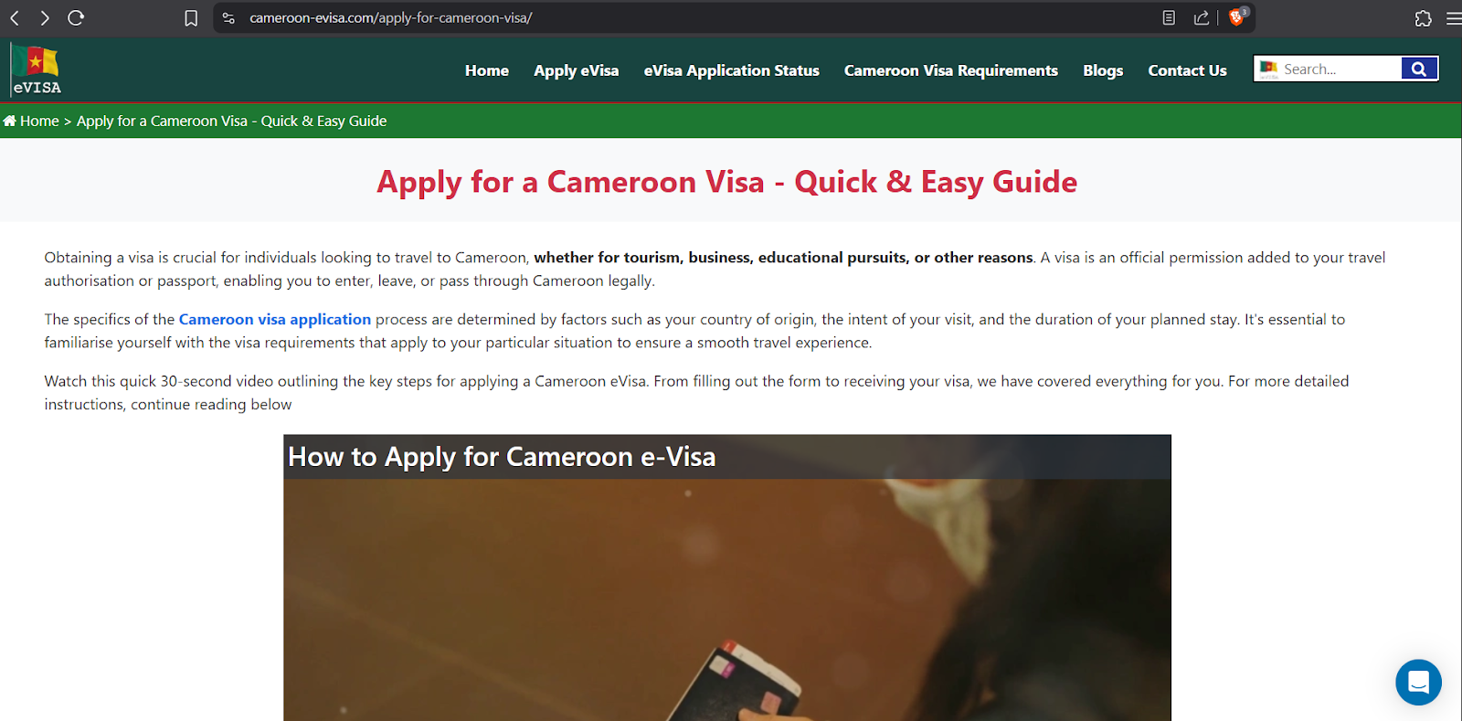 How To Fill Up The Cameroon Evisa Form One Step At A Time