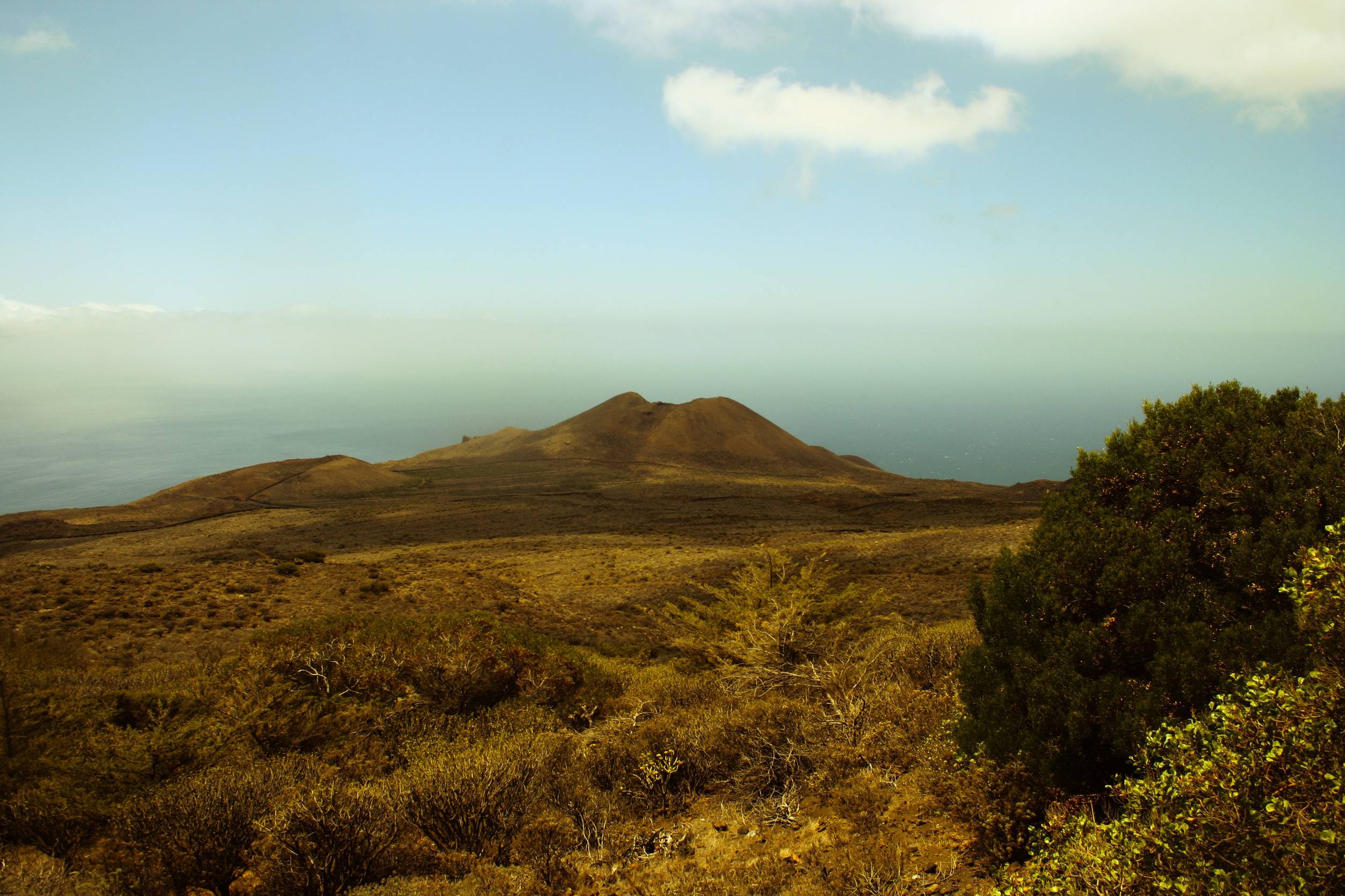 View From Mount Cameroon